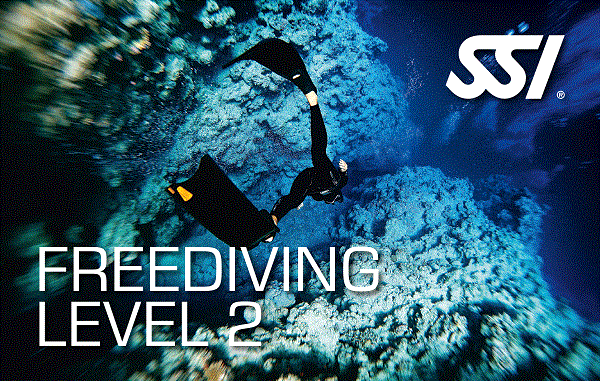 Anemone SSI Freediving Level 2