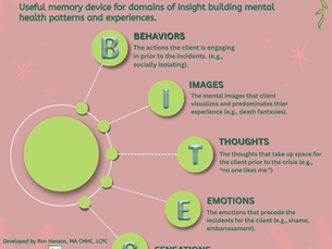 BITES: A Framework for Safety Planning and Understanding Mental Health Warning Signs