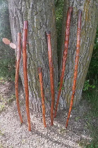 good walking stick.webp