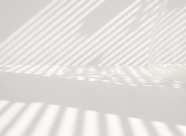 Light and Shadow _edited.png