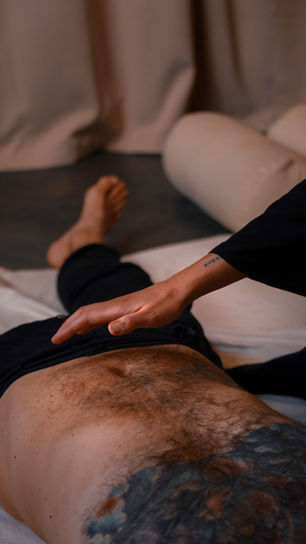 Guide for De-Armouring Professionals - Trauma aware De-armouring