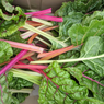 Swiss Chard