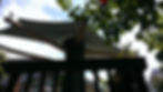 Completion tree shade structure