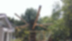 Shade-Guard tree shade structure