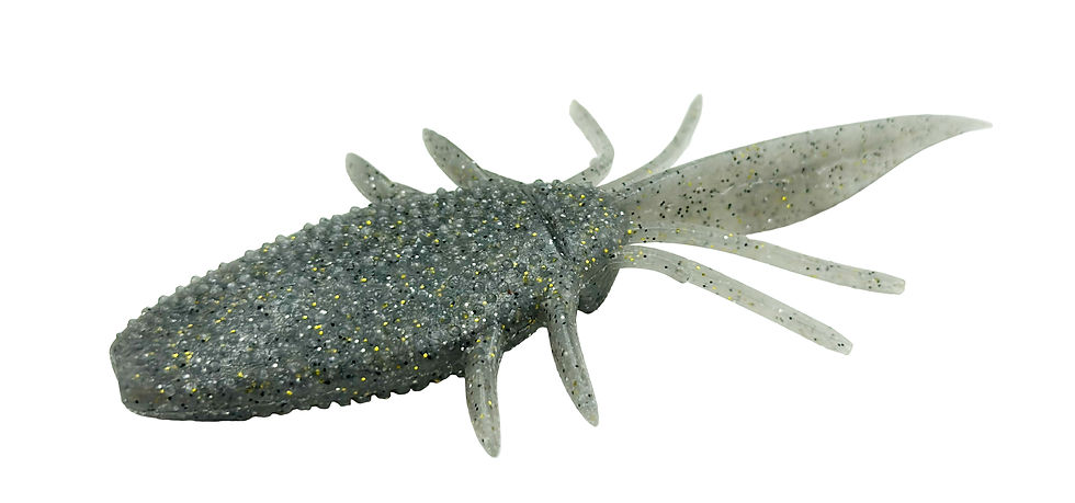 #07 ゴーストスケール