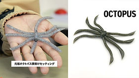 ⭐︎オクトパス OCTOPUS（オクトパス） | FISH MAGNET Official Web Site