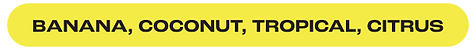 MO_RIZZLERS_WebBars_Tropic.png