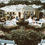 Thumbnail: Cactus and Tropical Salt Lake City