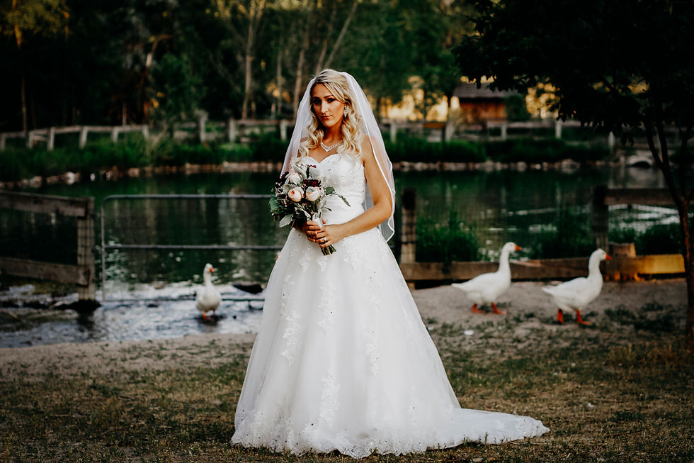 Thumbnail: Shannon's Engagements or Bridals