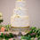Thumbnail: 3-Tier Buttercream Cakes