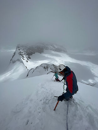 ALPINIMSO.jpeg