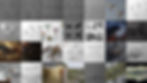 A sample of the artwork in the “Restricted Gallery”