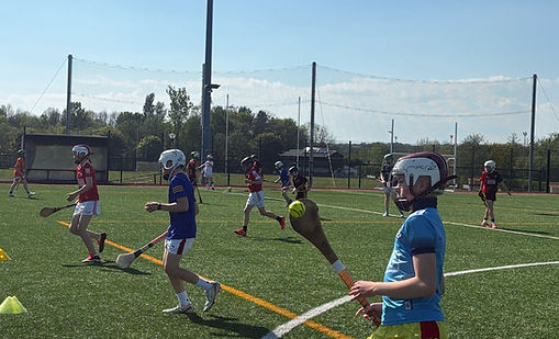 Hurling Academy