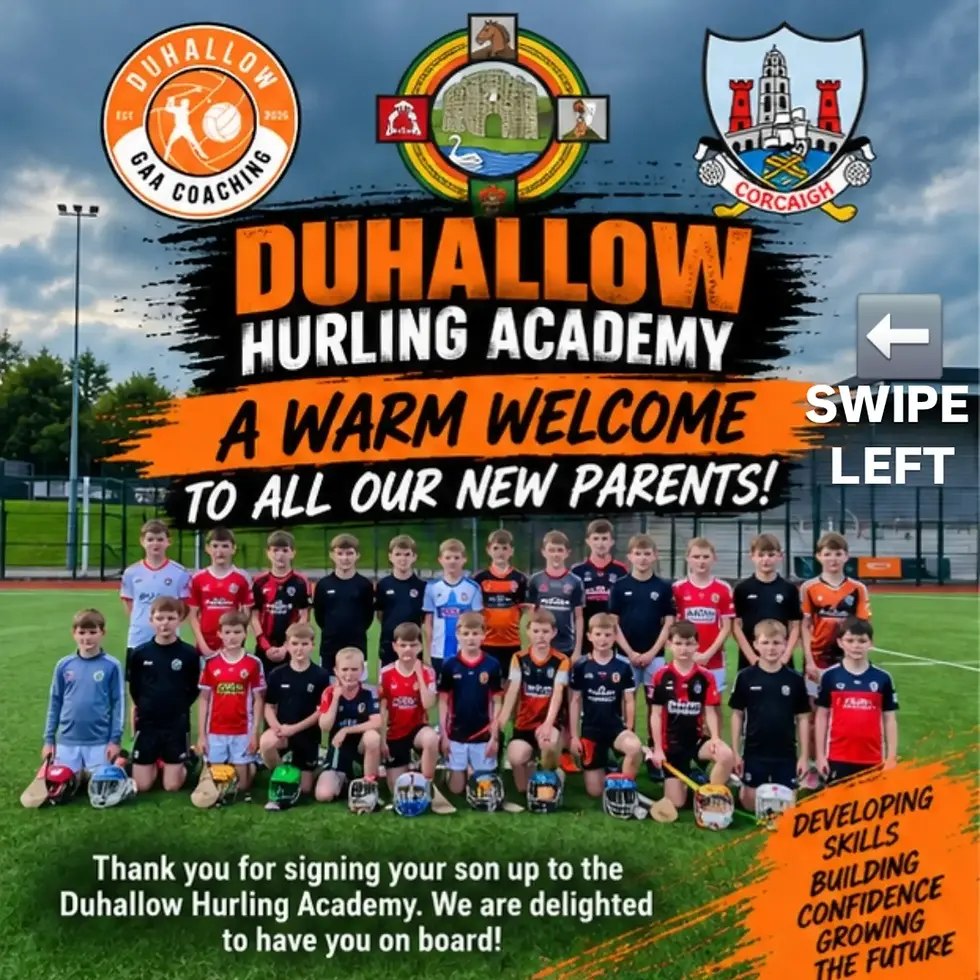 Hurling Academy