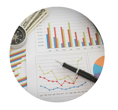 spreadsheet financial data for business valuation for new hampshire divorce
