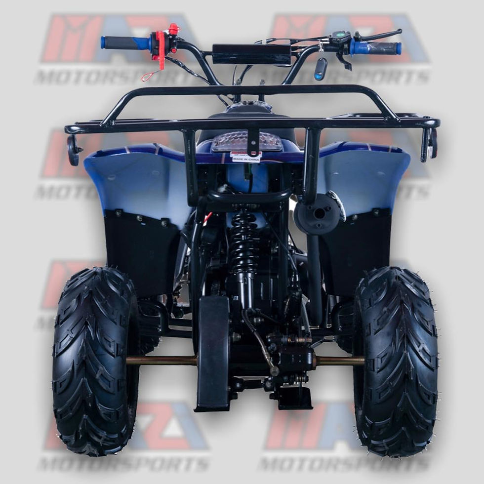 Thumbnail: 110cc Apollo Vitacci Hawk BLUE