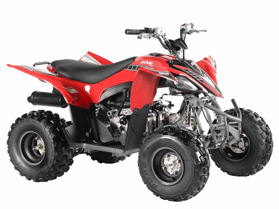Thumbnail: Gizmo 120 ATV