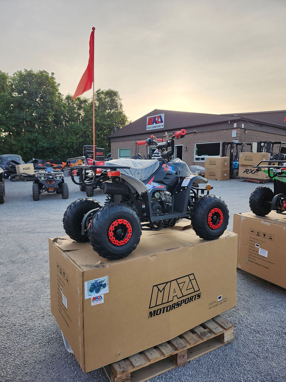 Thumbnail: 110cc Landward Trail Master with reverse