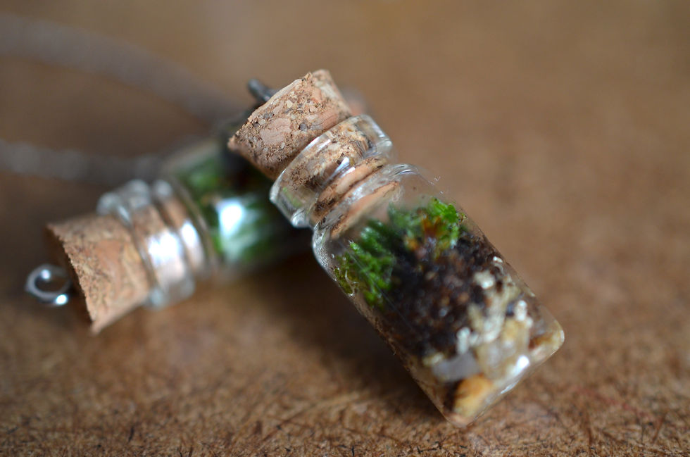 Thumbnail: Terrarium elven pendant