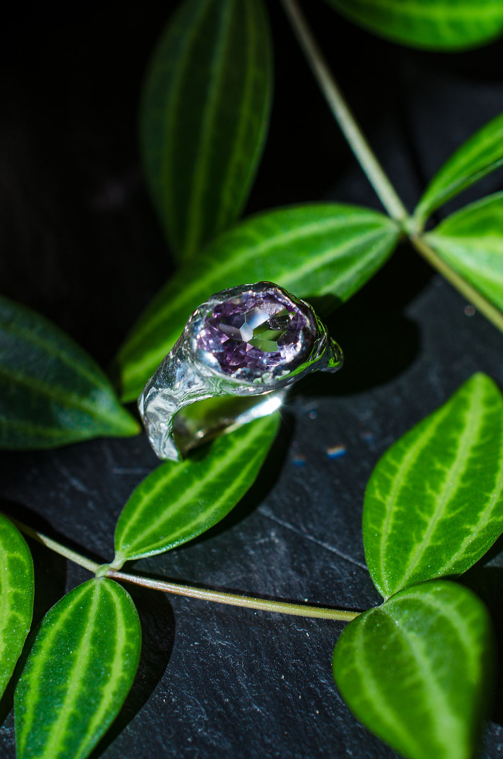 Miniatura: Sève - Collection Flore sauvage