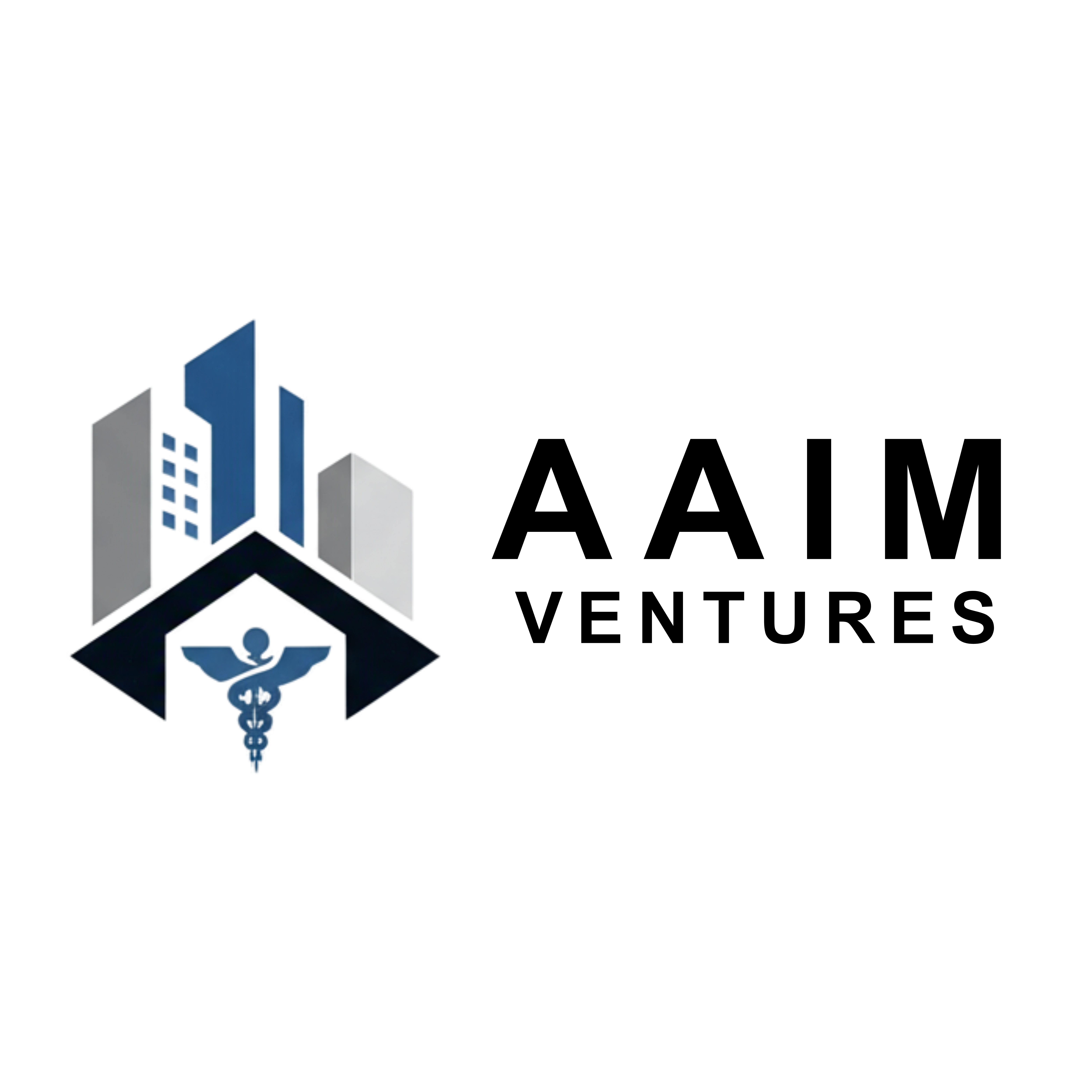 AAIM Ventures Final Logo Options (2).png