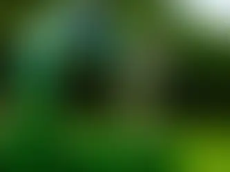 Diferença entre poço regularizado e irregular: o que você precisa saber antes de perfurar