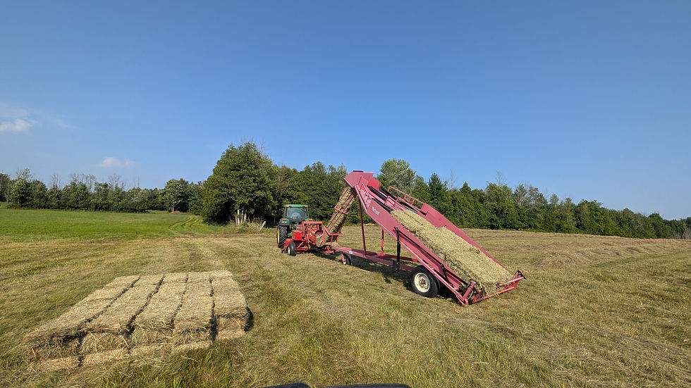 Square bale accumulator