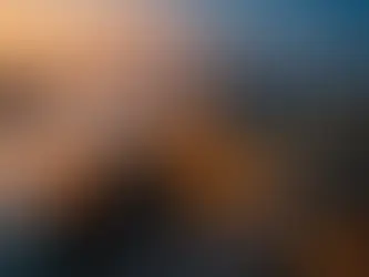 Cómo aplicar el PCNC en operaciones con commodities en Colombia