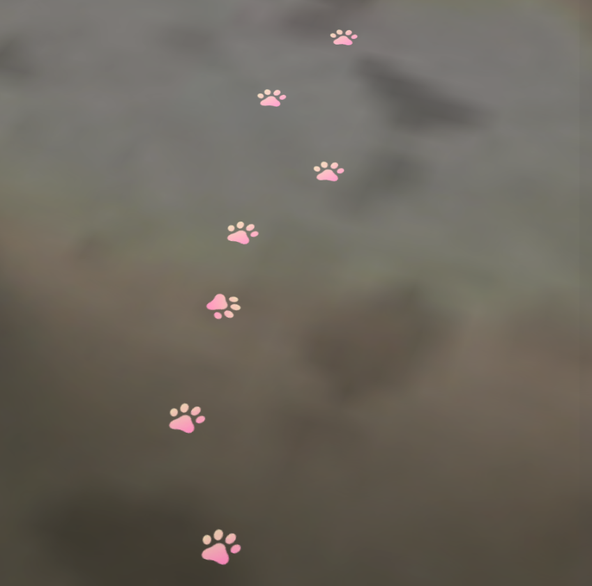 paw trail.png