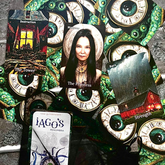 Iago's Penumbra: A Metaphysical Novel with Rose Guildenstern