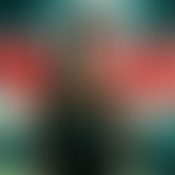 Crítica: Tomb Raider – A Origem