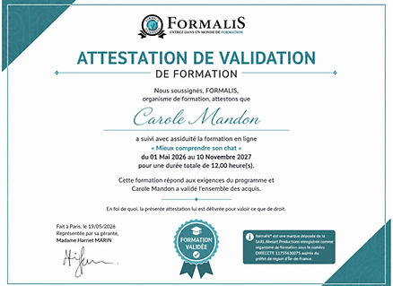 Sans titre.png