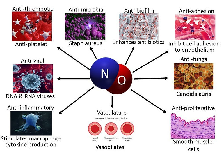 NO Pharmacuetical Properties.jpg