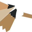 Pencil Shavings
