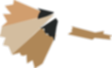 Pencil Shavings