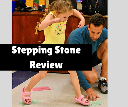Stepping Stone Review.png