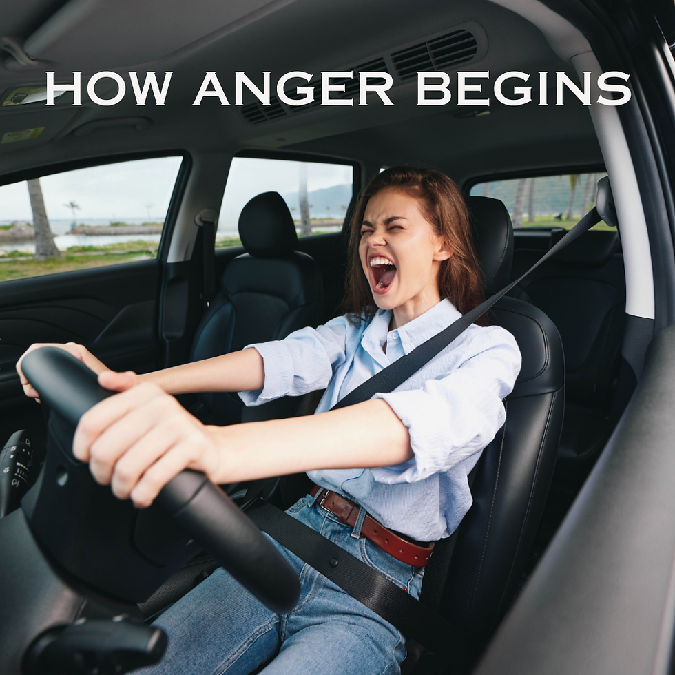 HOW ANGER BEGINS