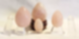 5eb8e9_62884d064a17411c80466351790ea637_