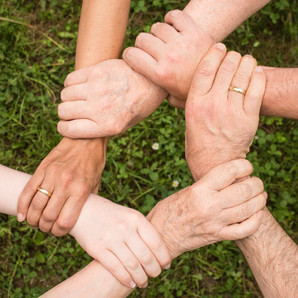 Harnessing the Power of your Team