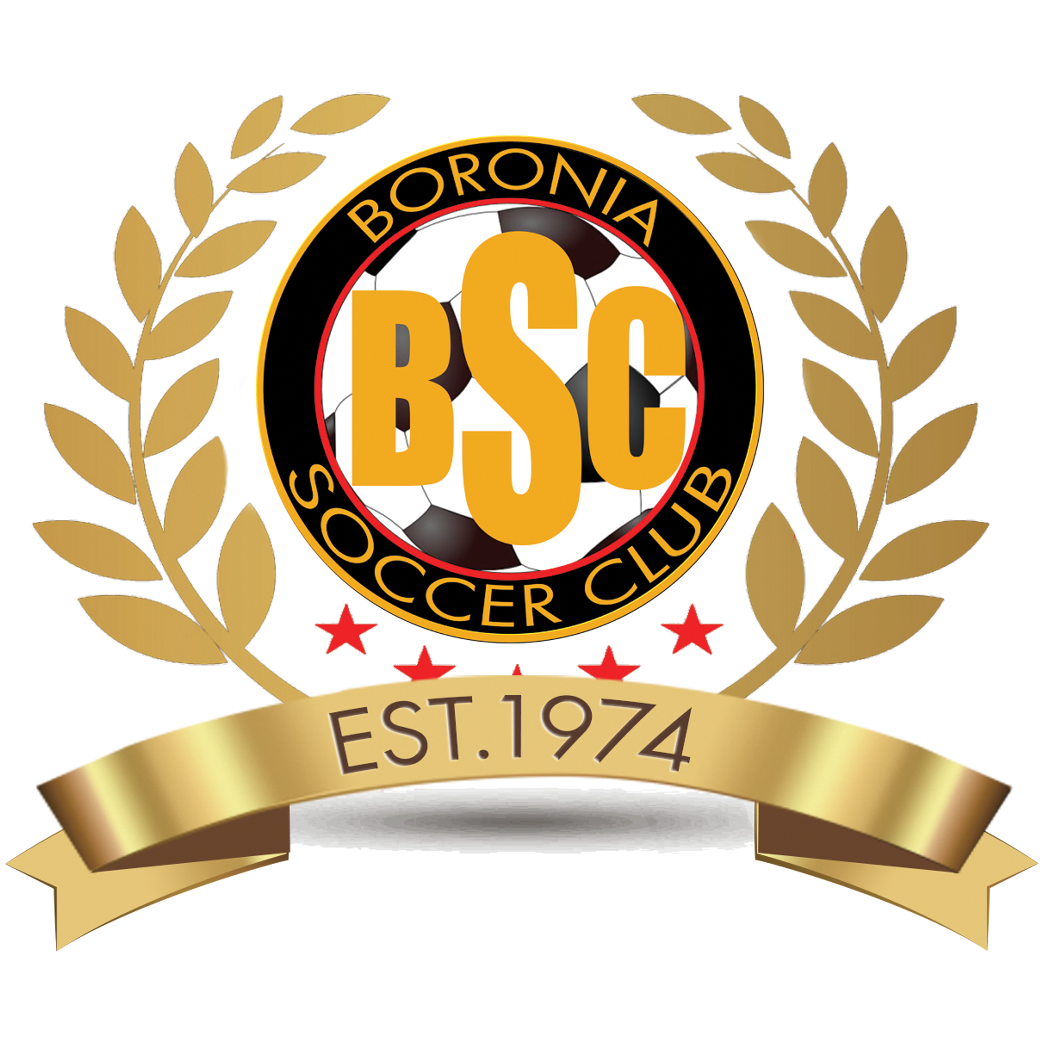 Writer: Boronia Soccer Club