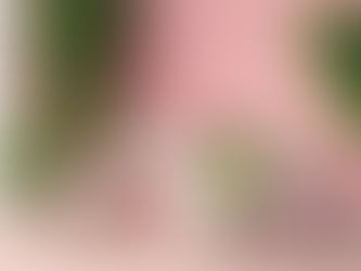 Discover the Future of Entrepreneurship with Aurora Business Solutions Digital Tools and Resources