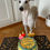 Miniature : Gâteau d'anniversaire