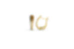 14K TRI COLOR SHIELD HOOP