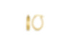 14K YELLOW GOLD OVAL POLISHED HOOP EARRINGS
