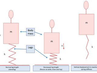 Stiffness y Rendimiento 1