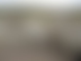 SITUACIÓN DEL ASOCIATIVISMO, TECNOLOGÍA E INNOVACIÓN EN LAS CADENAS DE VALOR TEXTIL DE LOS CAMÉLIDOS