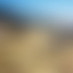 Reclaiming the Land: Prescribed Grazing, Indigenous Resilience, and Data-Driven Management Solutions