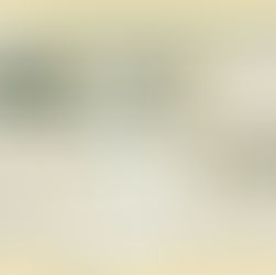 Restoring California's Native Coastal Scrublands on a Revitalized Golf Course