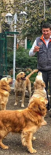 Kozalak Kedi Kopek Oteli