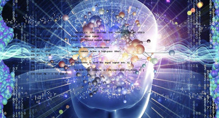 Organic Software of an Organism